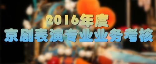 艹鸡网站国家京剧院2016年度京剧表演专业业务考...